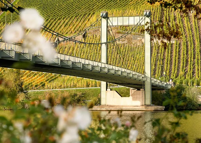 招待所 Gasthaus 贝恩卡斯特尔-屈斯