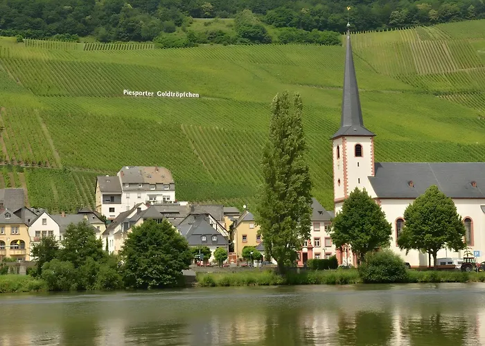 Gasthaus 招待所 3*